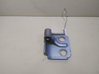 петля двери Fiat Punto 2 поколение 2002, синий, хетчбэк 5 дв.