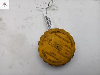 пробка расширительного бачка Opel Meriva 1 поколение (A) [рестайлинг] 2006, 1.3 л., дизель, МКПП, серый, минивэн, 90467473