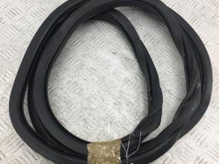 уплотнитель двери Volkswagen Tiguan 2009, 2.0 л., дизель, МКПП, чёрный, внедорожник 5 дв.