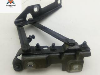 петля капота левая Opel Insignia 1 поколение (A) 2010, серый, хетчбэк 5 дв., 13248765