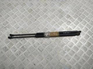 амортизатор крышки багажника (3-5 двери) BMW X5 E53 2001, 3.0 л., дизель, АКПП, серый, внедорожник 5 дв., 51248142405