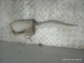 бачок омывателя Ford Transit 6 поколение 2005, 2.0 л., дизель, микроавтобус, YC1513D018AA - фото №2