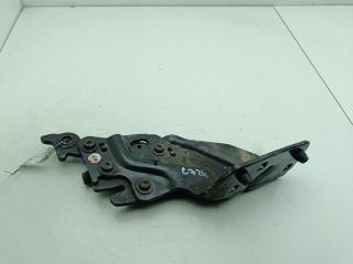 петля двери Ford B-max 2014, синий, минивэн, AV11R25001AF