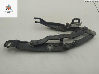 петля крышки багажника BMW Z4 E85 2003, синий, кабриолет, 7016179