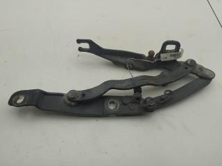 петля крышки багажника BMW Z4 E85 2003, синий, кабриолет, 7016179