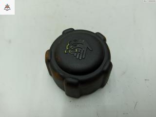 пробка расширительного бачка Renault Modus 1 поколение 2005, 1.6 л., бензин, МКПП, синий, хетчбэк 5 дв.