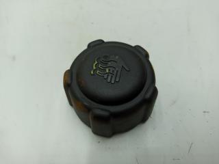 пробка расширительного бачка Renault Modus 1 поколение 2005, 1.6 л., бензин, МКПП, синий, хетчбэк 5 дв.