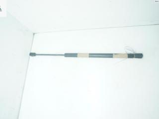 амортизатор крышки багажника (3-5 двери) Ford Focus 1 поколение [рестайлинг] 2001, 1.4 л., бензин, МКПП, красный, хетчбэк 3 дв.