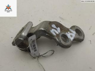 петля двери Ford Focus 1 поколение [рестайлинг] 2003, серый, хетчбэк 5 дв.