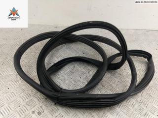 уплотнитель двери Ford B-max 1 поколение 2013, 1.0 л., бензин, МКПП, красный, минивэн