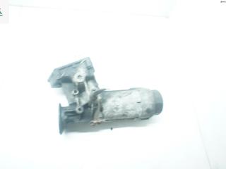 корпус масляного фильтра SEAT Alhambra 1 поколение [рестайлинг] 2002, 1.9 л., дизель, МКПП, минивэн