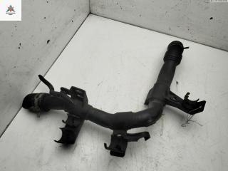 трубка охлаждающей жидкости Peugeot 307 1 поколение 2002, 1.6 л., бензин, МКПП, 25020304