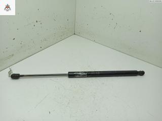 амортизатор крышки багажника (3-5 двери) Renault Scenic 2 поколение 2003, 1.9 л., дизель, МКПП, красный, минивэн, 8200174571