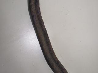 рычаг задний левый Hyundai Accent 2 поколение (LC) [рестайлинг] 2002, 1.3 л., бензин, МКПП, красный, хетчбэк 5 дв.