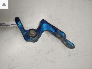 петля двери Ford Focus 2 поколение 2006, синий, хетчбэк 3 дв., 3M51R22810AH