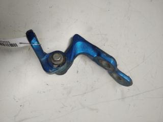 петля двери Ford Focus 2 поколение 2006, синий, хетчбэк 3 дв., 3M51R22810AH