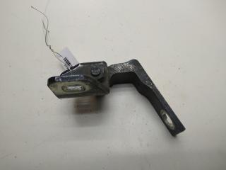 петля двери Ford Focus 3 поколение 2012, чёрный, хетчбэк 5 дв., AM51U22800AD