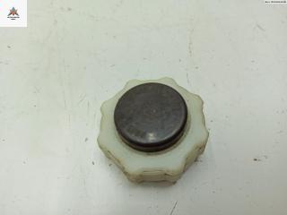 пробка расширительного бачка Renault Kangoo 1 поколение 1998, 1.2 л., бензин, МКПП, жёлтый, фургон