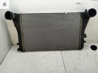 радиатор интеркулера Volkswagen Touran 1 поколение 2003, 1.9 л., дизель, МКПП, красный, минивэн, 1K0145803