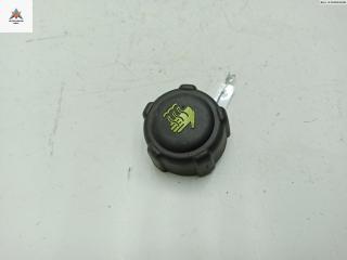 пробка расширительного бачка Renault Scenic 2 поколение 2003, 1.9 л., дизель, МКПП, красный, минивэн