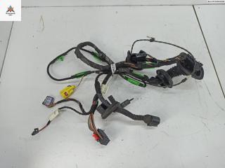 дверная проводка Audi A6 4F/C6 2006, 2.7 л., дизель, АКПП, чёрный, универсал, 4F1971030AD