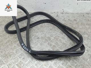 уплотнитель двери Citroen Berlingo 1 поколение (M49) 2000, 2.0 л., дизель, МКПП, синий, минивэн