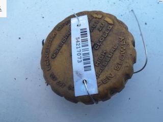 пробка расширительного бачка Opel Zafira 1 поколение (A) [рестайлинг] 2005, 1.6 л., бензин, МКПП, серый, минивэн