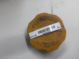 пробка расширительного бачка Opel Antara 1 поколение 2007, 2.0 л., дизель, МКПП, чёрный, внедорожник 5 дв., 96629108