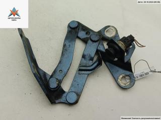 петля капота левая Volkswagen Sharan 1 поколение [рестайлинг] 2002, синий, минивэн