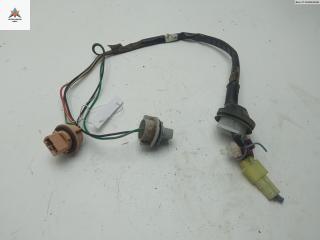 Патрон лампы фонаря Suzuki Liana 1 поколение 2003, 1.6 л., бензин, МКПП, зелёный, седан