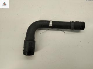 патрубок радиатора Volkswagen Passat B5 1998, 1.6 л., бензин, 8D0121101K