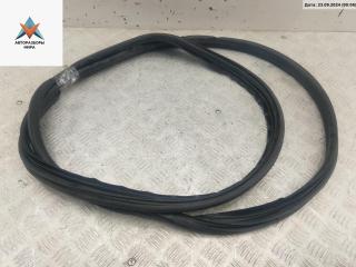 уплотнитель двери Renault Scenic 2 поколение 2004, 1.6 л., бензин, МКПП, серый, минивэн