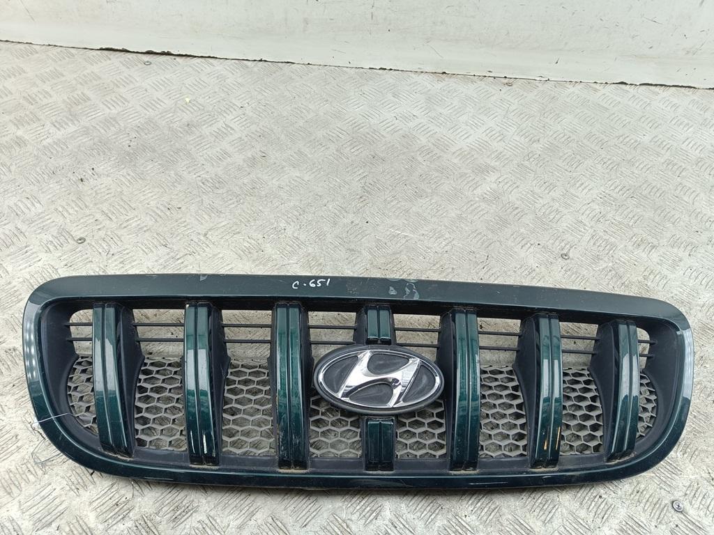 решетка радиатора Hyundai Terracan 2004, зелёный, внедорожник 5 дв., 86251-H1060