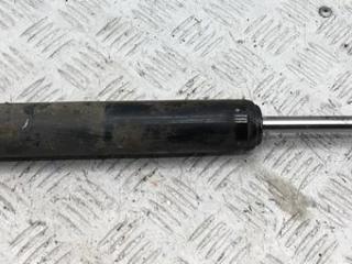 амортизатор задний левый Fiat Bravo 2 поколение 2008, 2.0 л., дизель, МКПП, красный, хетчбэк 5 дв.