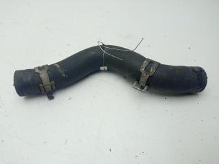 патрубок радиатора Honda Civic 7 поколение 2001, 1.6 л., бензин