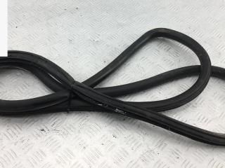 уплотнитель двери Volkswagen Bora 1 поколение 2005, 1.9 л., дизель, МКПП, синий, седан