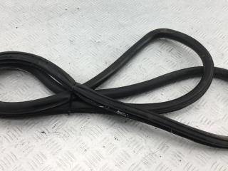 уплотнитель двери Volkswagen Bora 1 поколение 2005, 1.9 л., дизель, МКПП, синий, седан