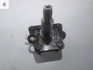 Цапфа задняя (ось ступицы) Daewoo Tacuma 1 поколение 2003, 1.6 л., бензин, МКПП, синий, минивэн