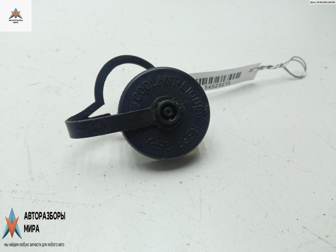 пробка расширительного бачка Nissan Maxima A34 2005, 3.5 л., бензин, АКПП, серый, седан - фото №1