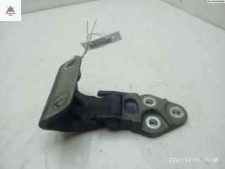 петля двери Renault Master 2 поколение 2002, синий, микроавтобус