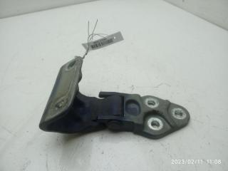 петля двери Renault Master 2 поколение 2002, синий, микроавтобус