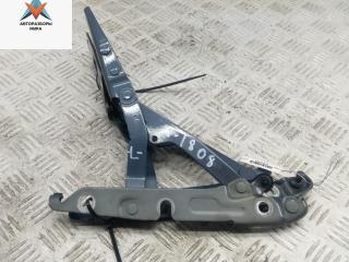 петля крышки багажника Audi A6 4F/C6 [рестайлинг] 2009, серый, седан, 4F5827302D