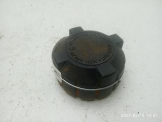 пробка расширительного бачка Citroen Jumper 1 поколение 2000, 2.0 л., дизель, МКПП, чёрный, микроавтобус