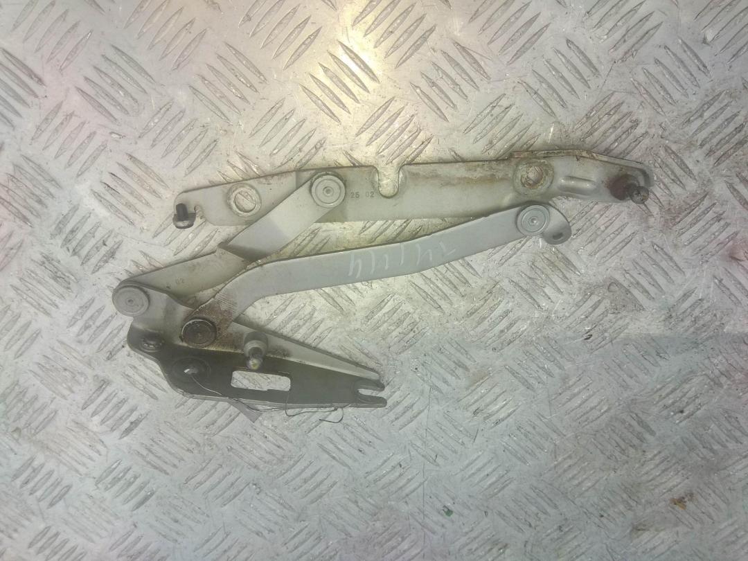 петля крышки багажника Audi A4 B6 2002, серый, седан, 8E5827301C