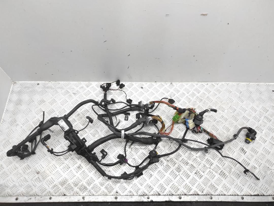 проводка двигателя BMW 3 F30/F31 2013, 2.0 л., дизель, АКПП, чёрный, седан, 7580654, 7580657