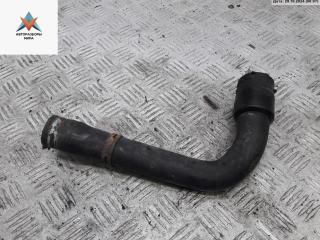 патрубок радиатора Volkswagen Passat B5 1998, 1.6 л., бензин, AHL