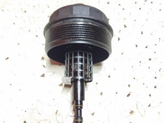 крышка масляного стакана BMW 5 серия E39 [рестайлинг] 2002, 2.5 л., бензин, МКПП, синий, седан, 1744000