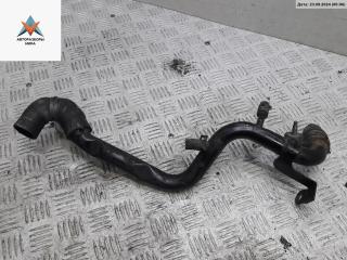 трубка охлаждающей жидкости Volkswagen Passat B5 [рестайлинг] 2002, 1.9 л., дизель, МКПП, 038121071R