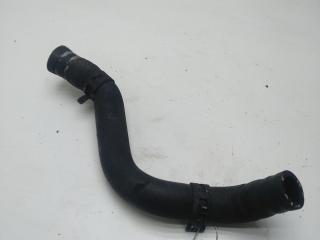 патрубок (трубопровод, шланг) Volkswagen Golf 4 поколение 2001, 1.6 л., бензин, МКПП, серый, хетчбэк 5 дв., 18009T3