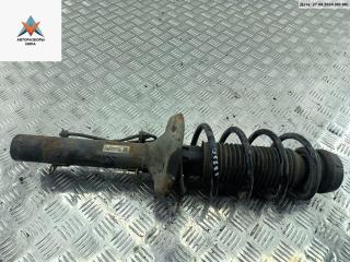 стойка передняя Volkswagen Golf 4 поколение 2001, 1.4 л., бензин, МКПП, серый, хетчбэк 5 дв.